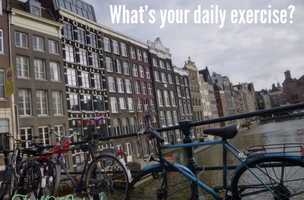 The Dutch way to daily exercise