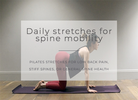 Daily stretches for spine mobility