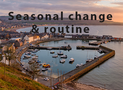 Seasonal change & routine